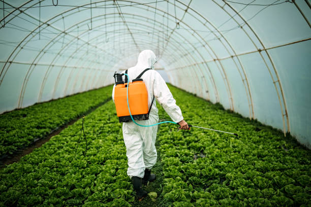 Best Pest Control for Homes  in Homedale, ID
