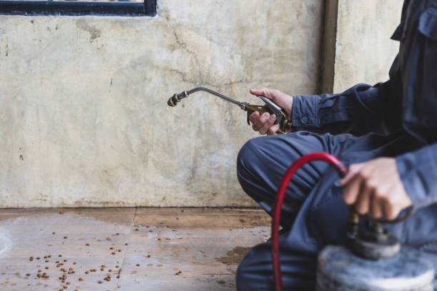 Best Rat Extermination Near Me  in Homedale, ID